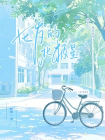 十七歲的北極星