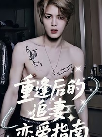 金在中：重逢后的追妻恋爱指南
