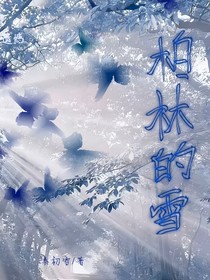 柏林的遺憾