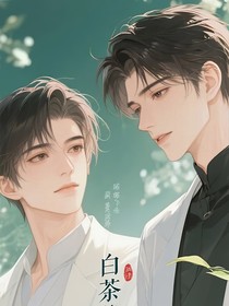 白茶契約