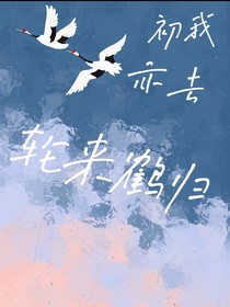 盗笔：初我亦去，轮来鹤归