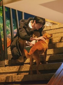 樹下有片紅房子：叢生