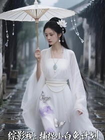 綜影視：捕捉小白兔計劃