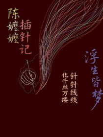 陈嬷嬷插针记
