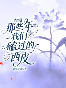 綜漫：那些年我們磕過的西皮