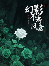 幻影忍者：風(fēng)意