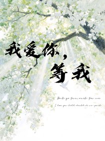 我愛(ài)你，等我