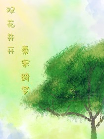 雙花并開：秦宋綺夢