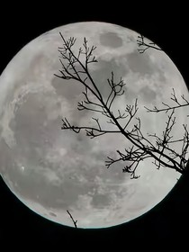 和骨爛