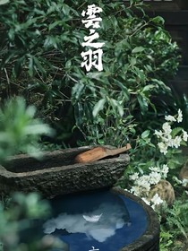 云之羽攻略
