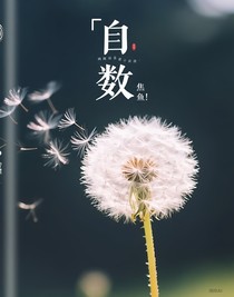 自數(shù)