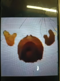 穿越古代之所求之物