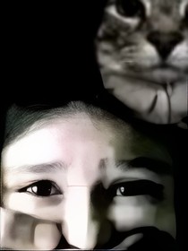 听海的人