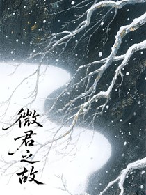微君之故
