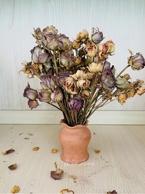 hp陈年旧爱