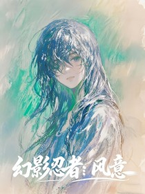 幻影忍者：風意