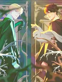 HP：原著观看不同设定的coser