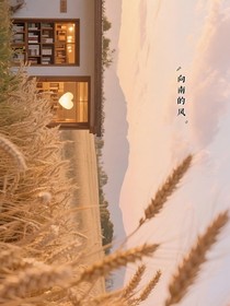 向南的风
