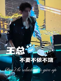 王總不要不依不饒