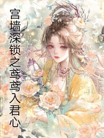 宮墻深鎖之鳶鳶入君心