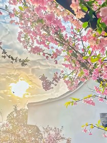 深宅——