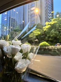 沈少你別太愛！
