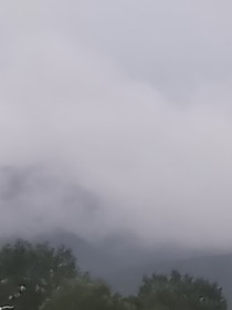 牧野1122