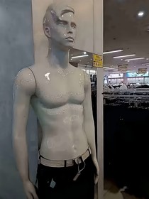 喵喵喵喵旺旺碎冰冰
