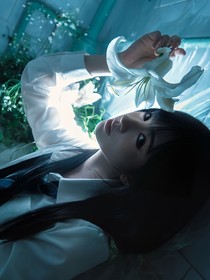 朱志鑫：梔子花開(kāi)時(shí)的惡