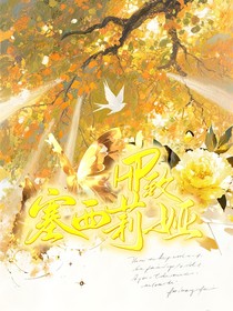 HP：致塞西莉婭