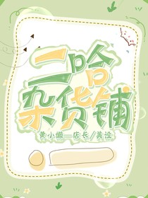二哈雜貨鋪（接單）