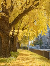 真愛(ài)是什么
