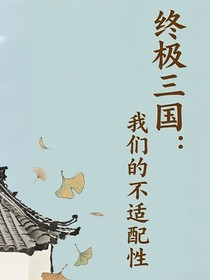 終極三國(guó)：我們的不適配性