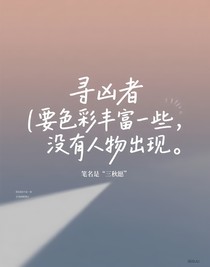 尋兇者（無法加以正劇的劇情）