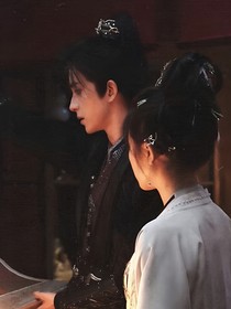 朝雪录后续