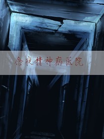 念夜精神病醫(yī)院