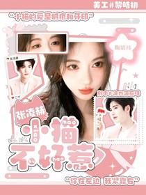 张凌赫：小猫不好惹