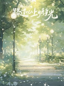 路過心上旳光