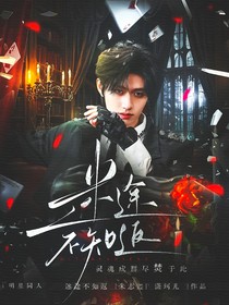 TOP：迷途不知返
