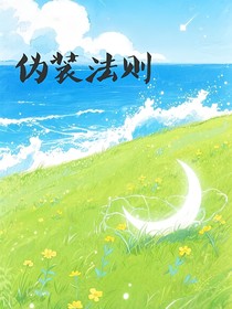 偽裝法則