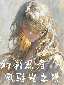 幻影忍者：風(fēng)駐光之隙