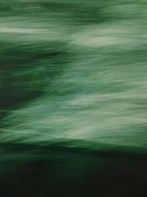 樊振東：野草