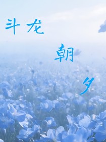 斗龍朝夕