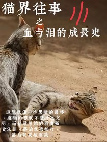 貓界往事之血與淚的成長史
