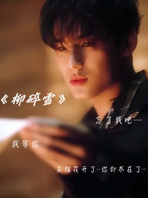 金珉奎：榴碎雪