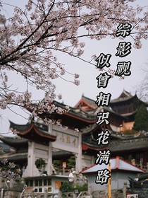 綜影視：似曾相識(shí)花滿路