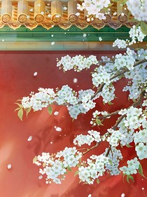 綜影視：似曾相識花滿路