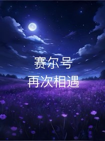 賽爾號：再次相遇