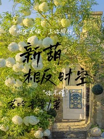 新葫：相反時(shí)空