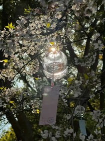 穿越斬神，被陳夫子撿到